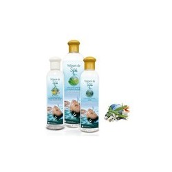 Huiles Essentielles Polynésie aux arômes Naturels amincissant . 250ml