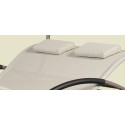 Désinfectant Plus Spas