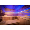Le modele de Sauna traditionnel économique et isolé . ECCOLO  6 places