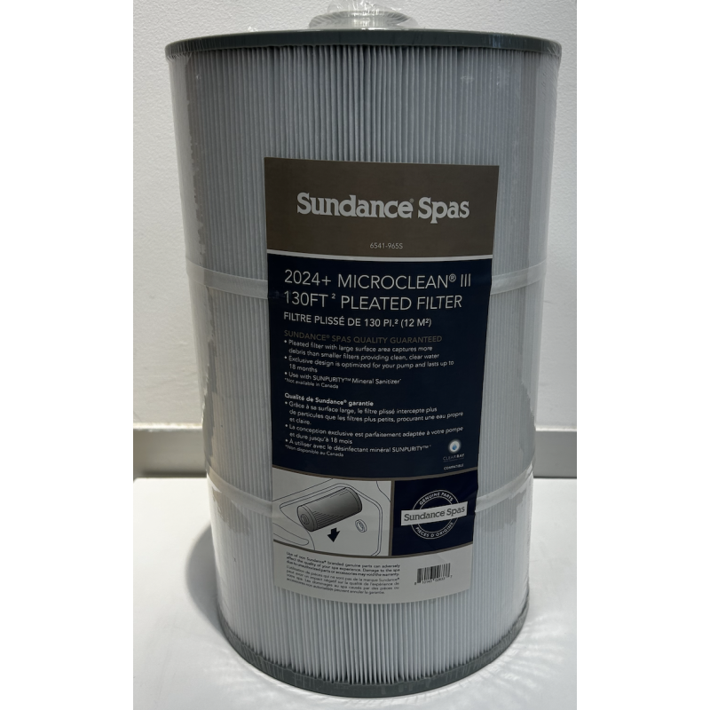 Filtre Sundance Spas série 880 2024 et + pour eaux calcaires