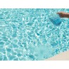 Sundance Spas Alès | Desalgin® CLASSIC BAYROL – Anti-algues