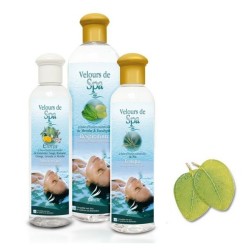 Plaisir d’aromathérapie pour spa  à l'huile essentielle d'Eucalyptus